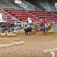 Photos Western Edge Photography 2017 Mountain West Team Roping Finals